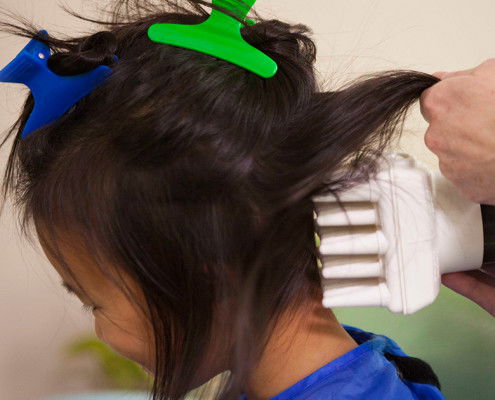 we kill super lice and their eggs