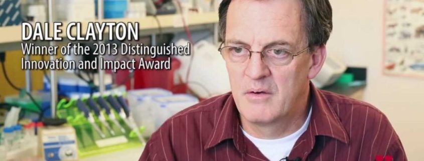 Dale Clayton winner of the 2013 Distinguished Innovation and Impact Award