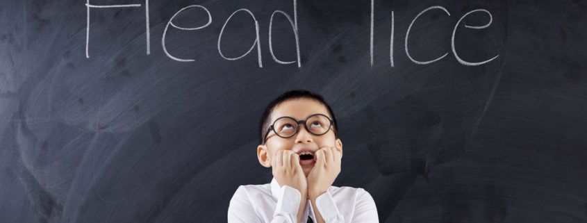 young aged school boy standing in a white collard shirt and black tie holding hands by mouth with mouth open looking at Head Lice written on the chalkboard above his head in the background