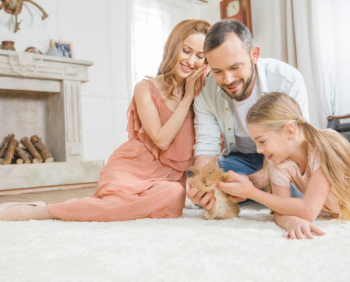 family of three smiling playing with their bunny in front of the fireplace