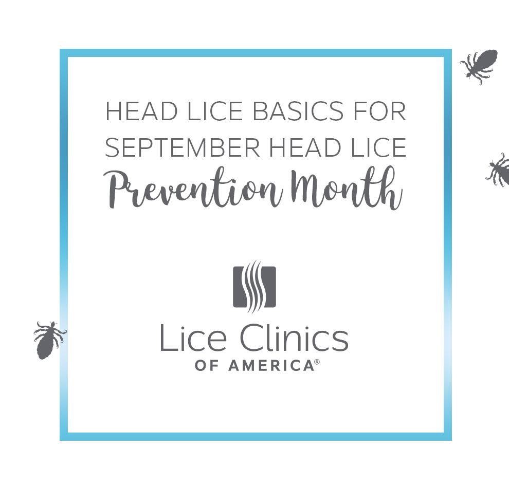 Top 8 head lice questions and answers for September head lice prevention month at Lice Clinics of America - Lexington